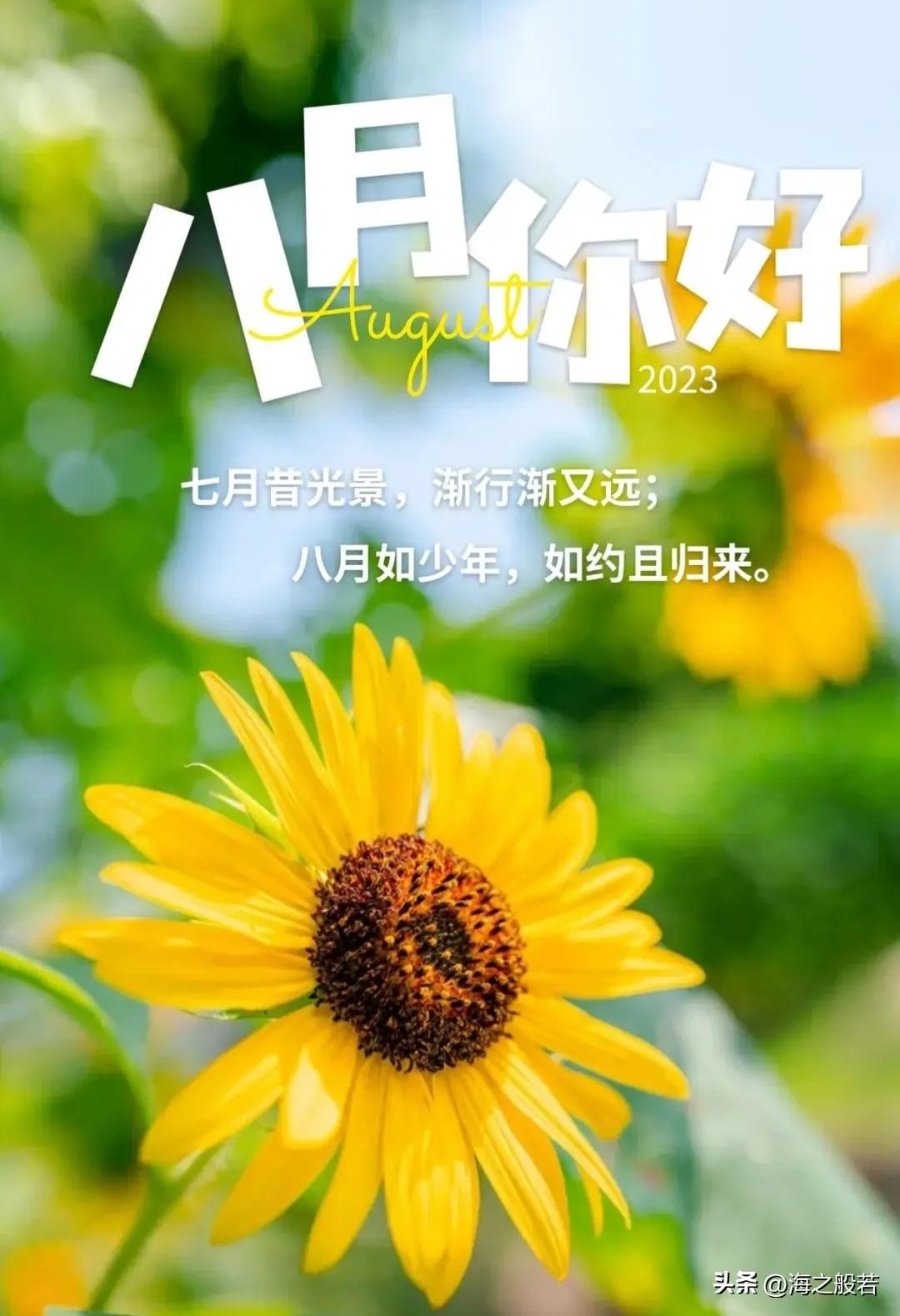 八月

         ——海之般若

许个愿吧，在八月的第一天

看，风吹起