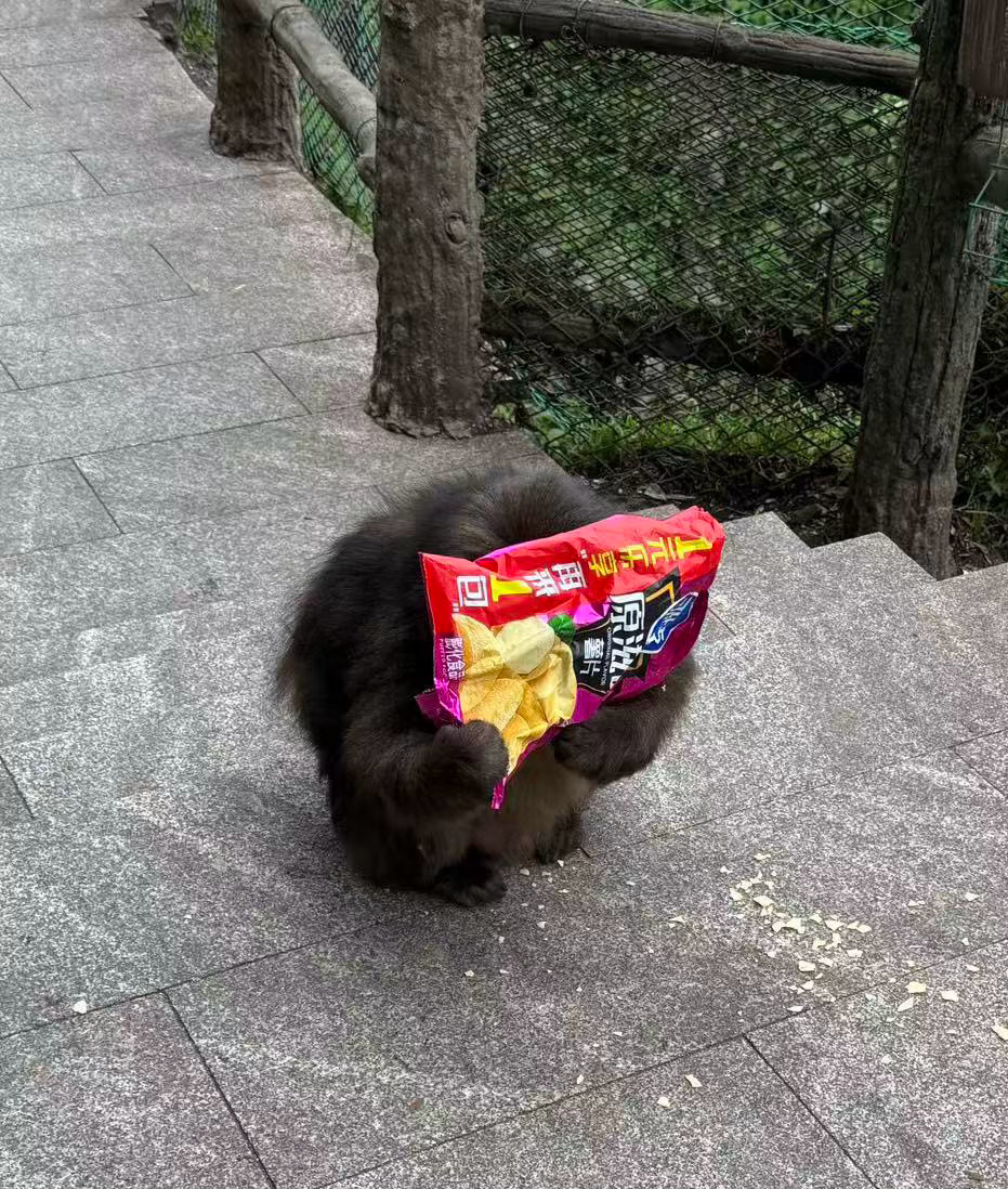 分享图片 
