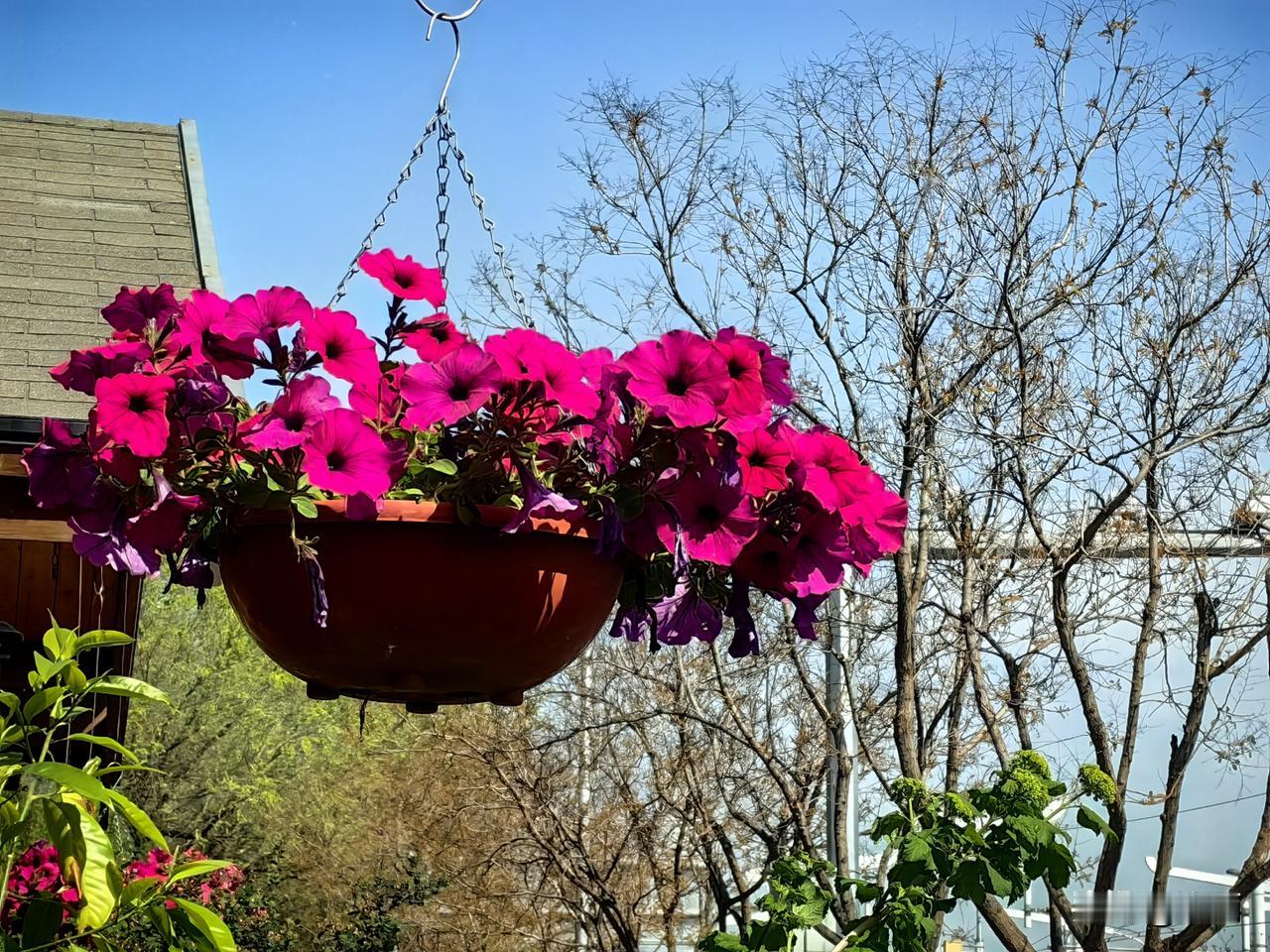 老年生活感悟：我们的年纪越来越大，才慢慢明白，生活没有十全十美，世事难免不尽人意