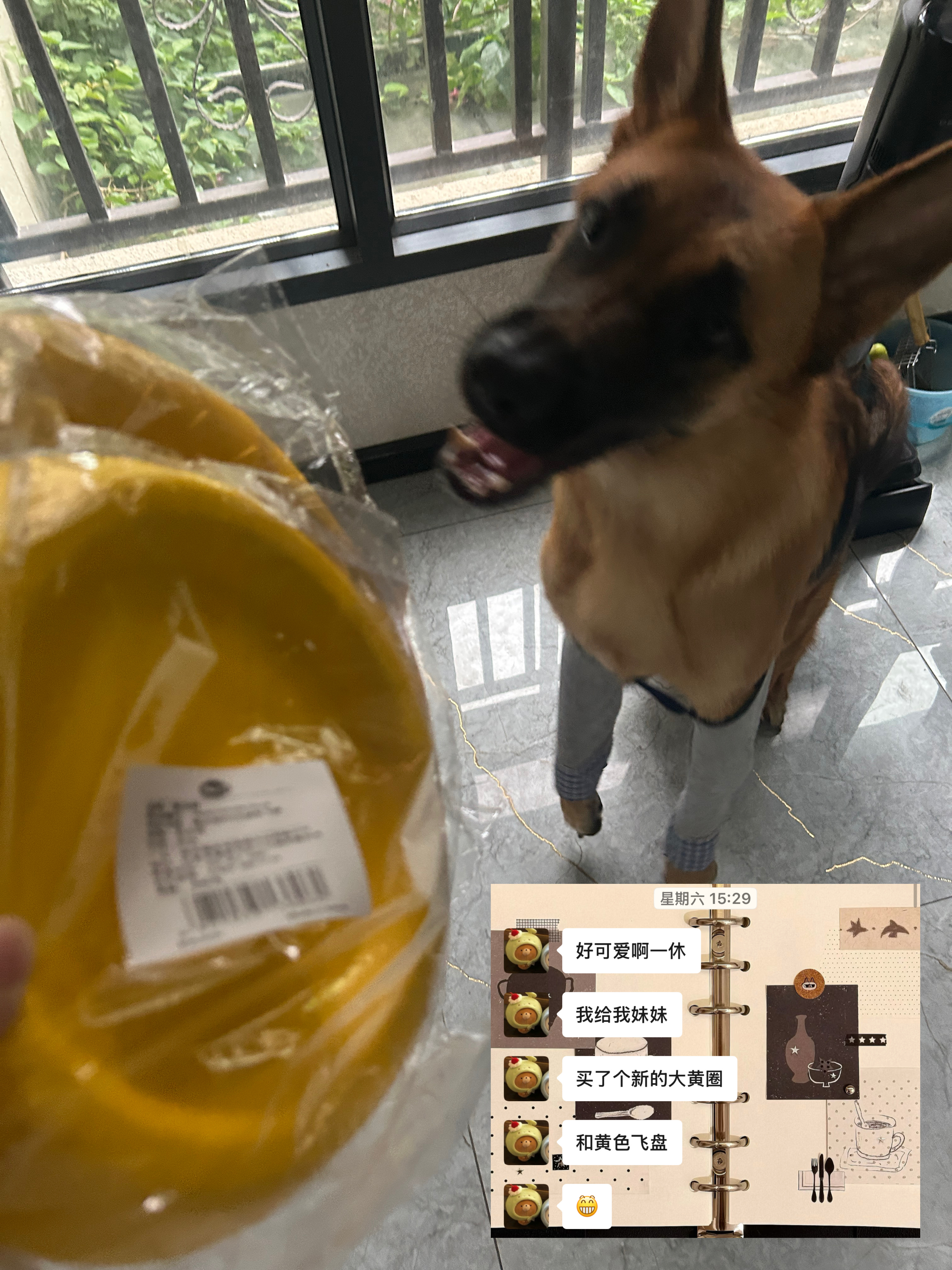 爱四给她一休妹妹买的她问我一休喜不喜欢，我喊她看图 