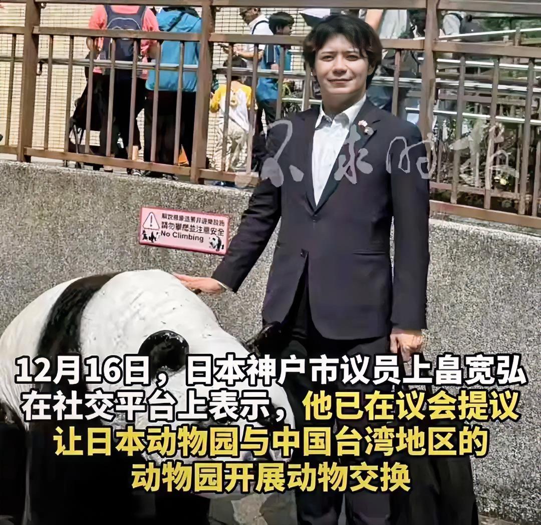 日本神户市议员上畠宽弘建议日本动物园与台湾动物园开展动物交换，这样日本又能有熊猫