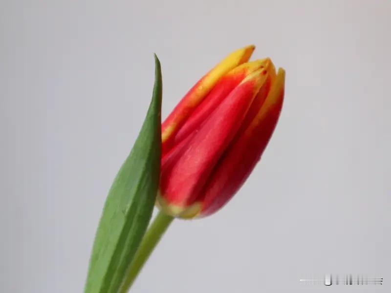 分享一件幸福感小事 我最近的幸福感小事就是开始读司马迁的《史记》。想当年我 55