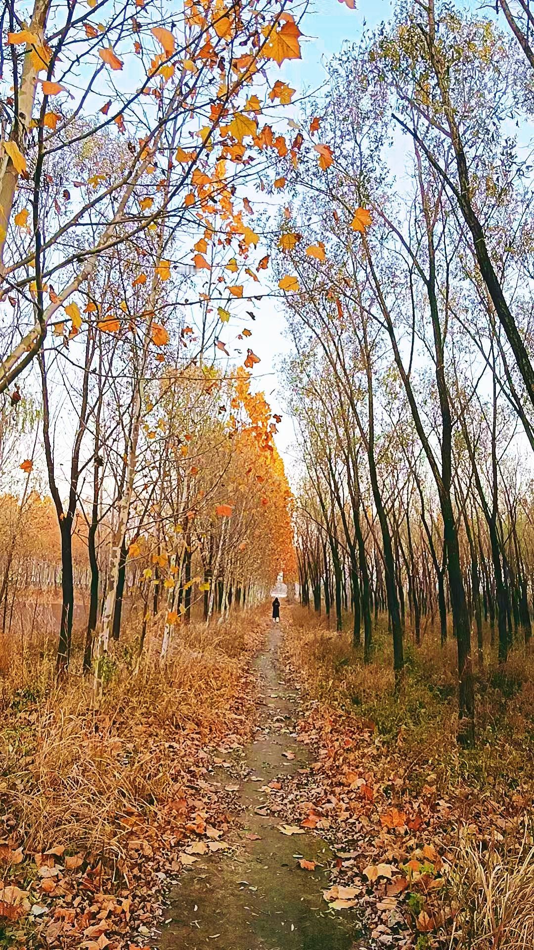 你认为学习中医有前途吗学什么学好了都有前途，比如哲学、新传、宗教学等。所以说，中