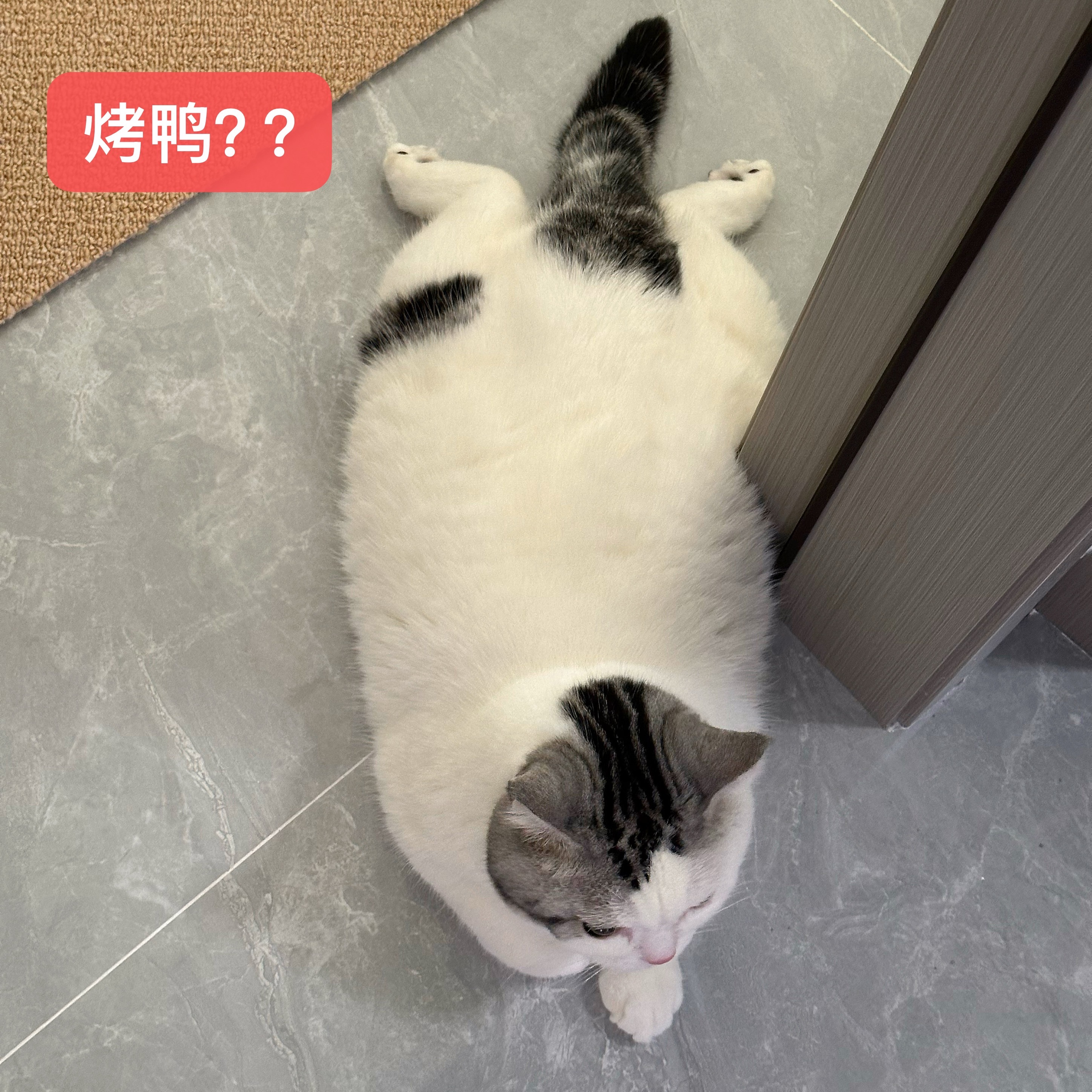 “咪在中国没工作的天” 