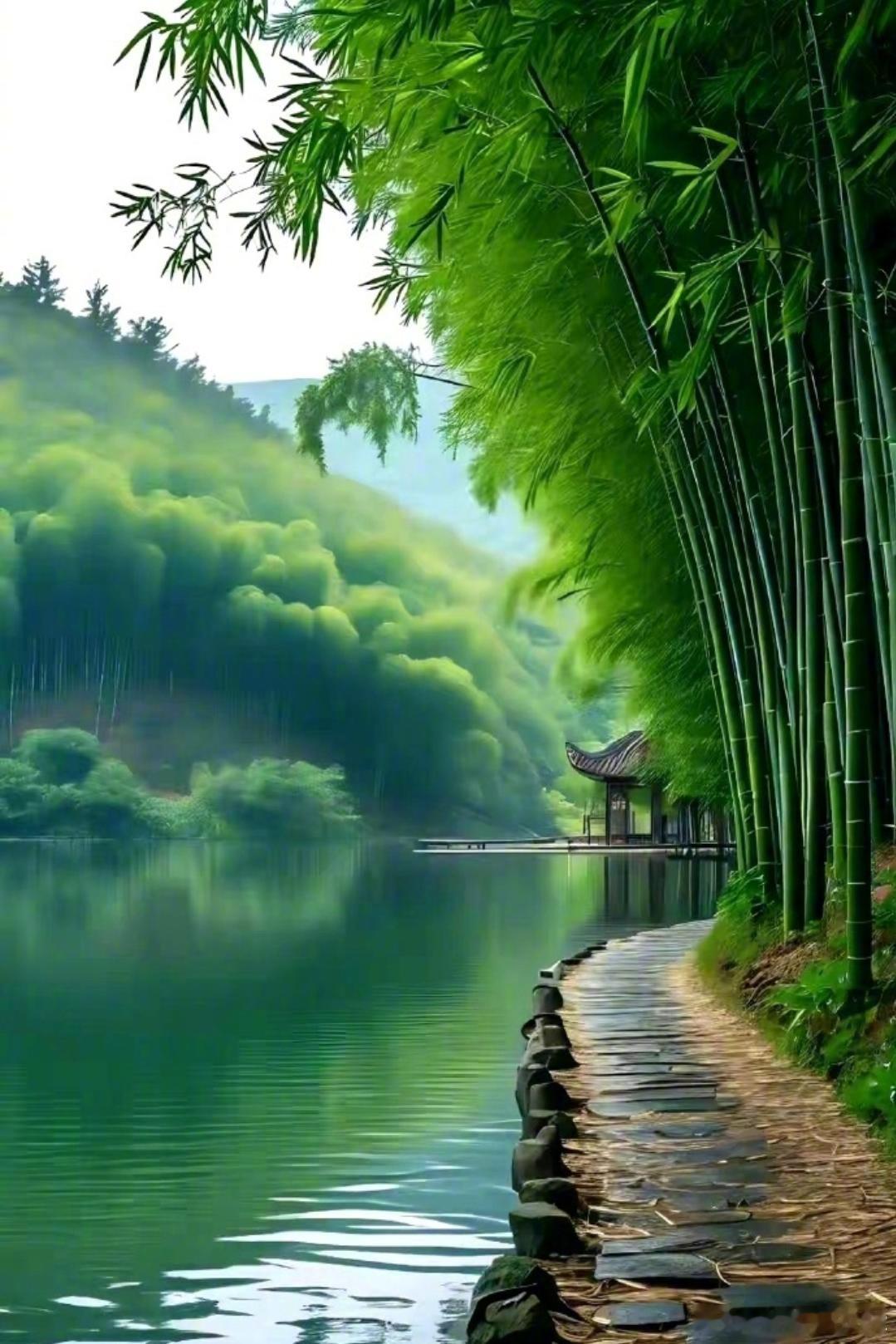 洋洋高锐·醉美时刻◎喝了酒走在……乡间的小路上心……特别的舒爽◎江南的水乡说……