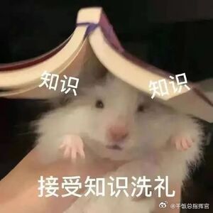 有文化的含金量具像化了 眼界和学识不再只是书本文字，善用智能工具梳理海量报考信息