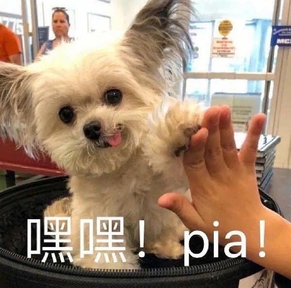 我觉得一周中最幸福的一天，莫过于周五晚上。不用担心第二天要上班，可以一觉睡到自然