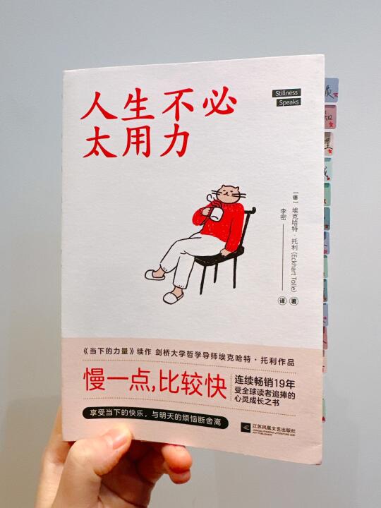 这本书治好了我的精神内耗，人生不用太用力