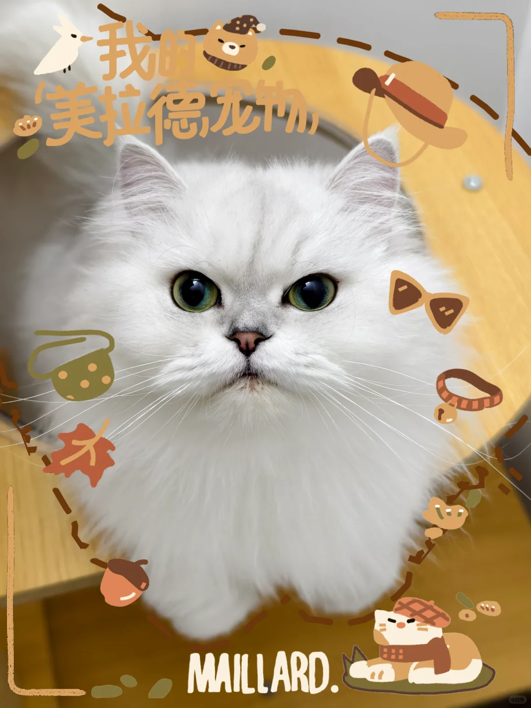 保持可爱，保持快乐
