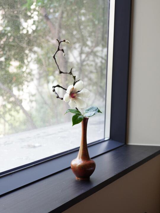 皎皎玉兰花，亭亭玉立倚栏杆。