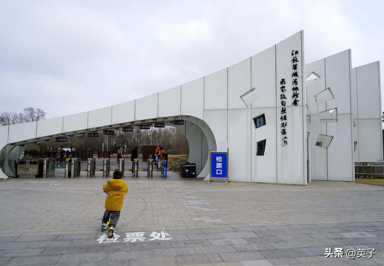 春日盐城，邂逅湿地丹顶鹤
江苏盐城丹顶鹤湿地生态旅游区，是丹顶鹤越冬的天堂。开春