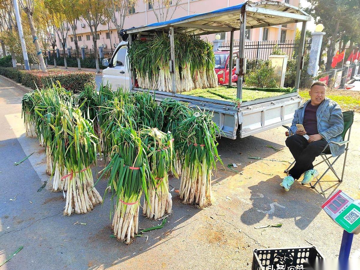就在枣庄福利院那个路口，一辆三轮车，直接把菜市场给比下去了。
车上码着一墙的大葱
