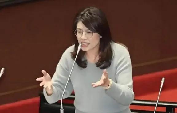 台湾蓝营终于和大陆观点一致了，不接受一国两制！台湾国民党主席郑丽文在接受专访时表