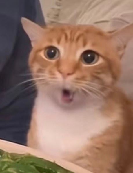 “要亲吗？” 
