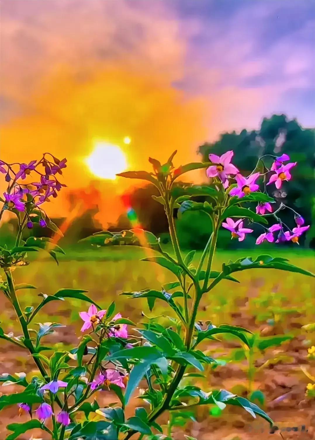 拿多拿少，健康就好。早涨晚涨，心情舒畅。朝迎晨曦，暮映夕阳。欢愉晚年，秋月春光。