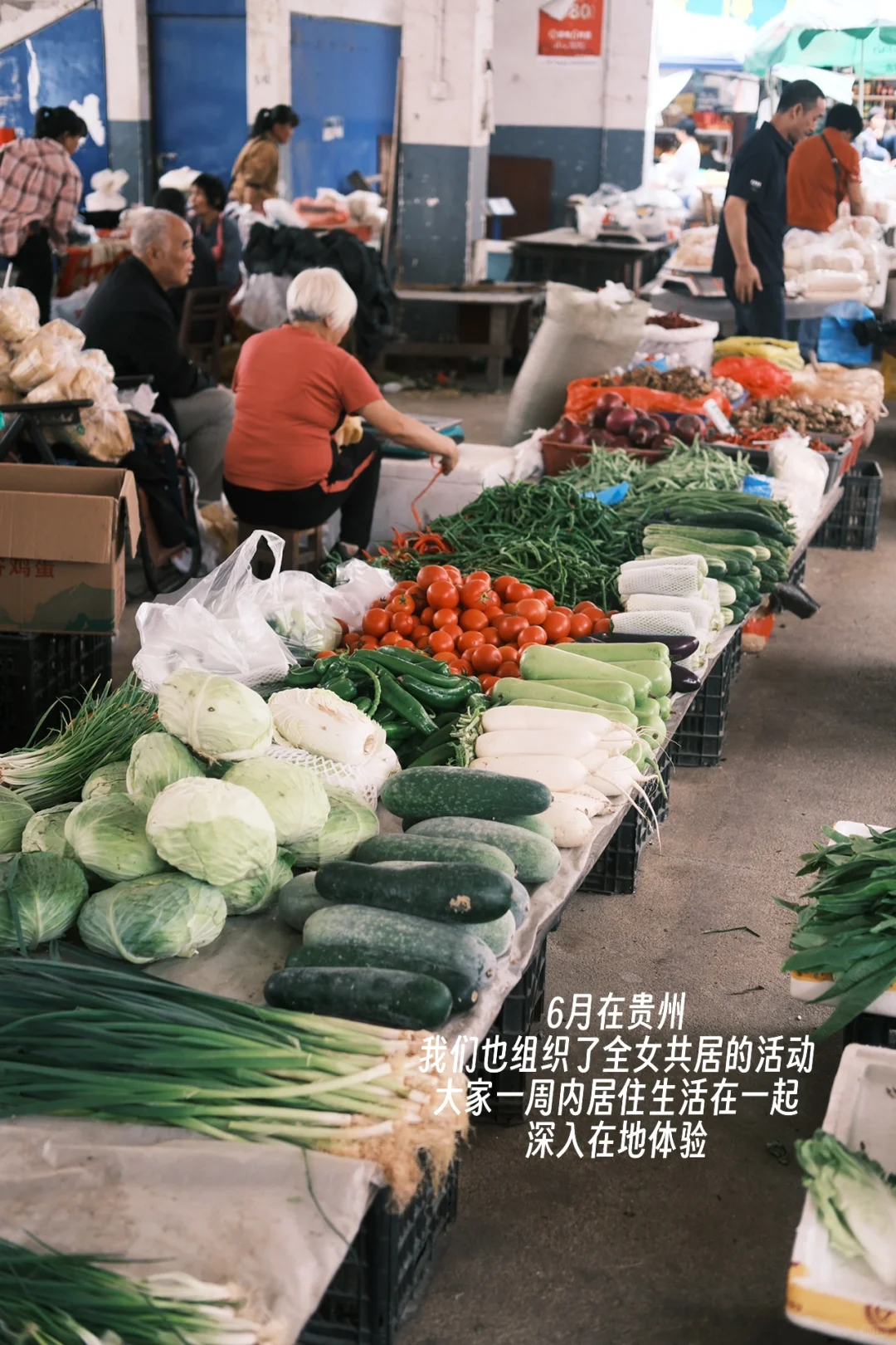 云南全女旅行招募 | 深入探索自然人文