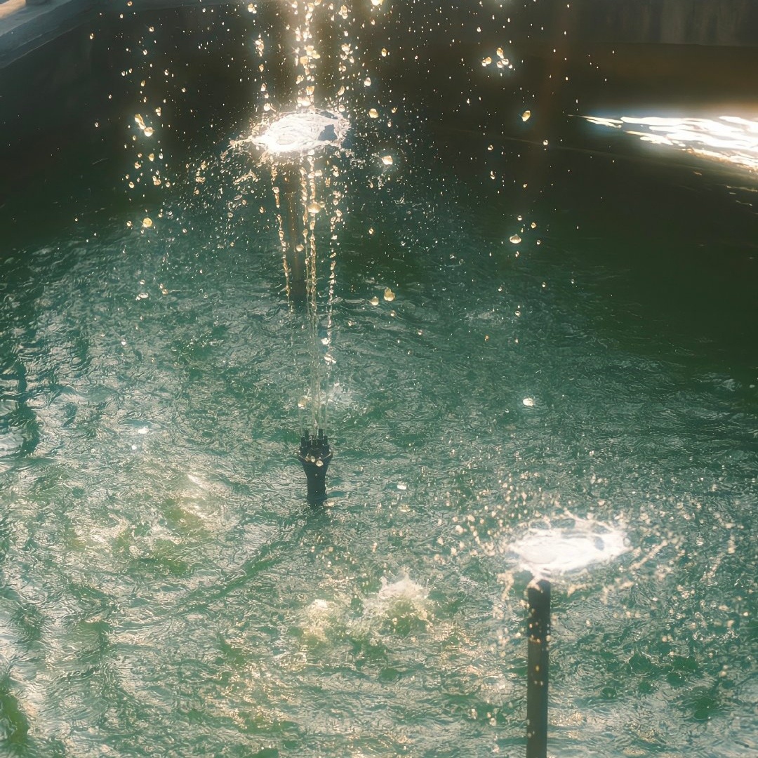 20240320日运指南癸未日今天是春分日，希望各位朋友都如同昨天所说的内容一样