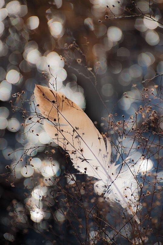 努力做一个好人，但是不用浪费时间去证明自己。 ​​​