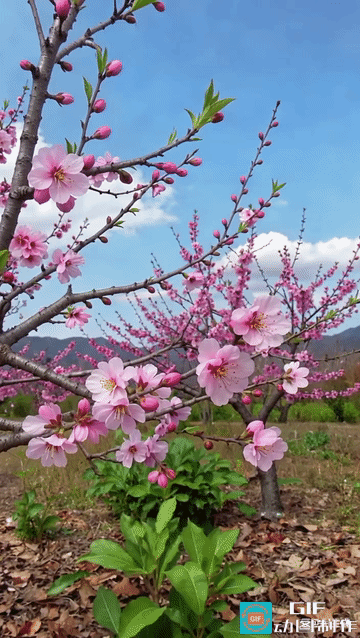 做人应如山
山的感觉是安静的
它不需要开口
让人感到踏实
风雨来了
它站立不动