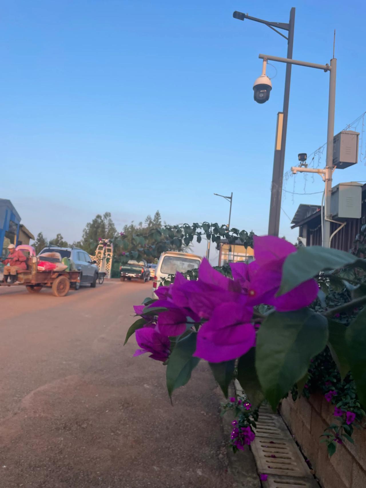 
晚歺后陪妈妈走路随拍