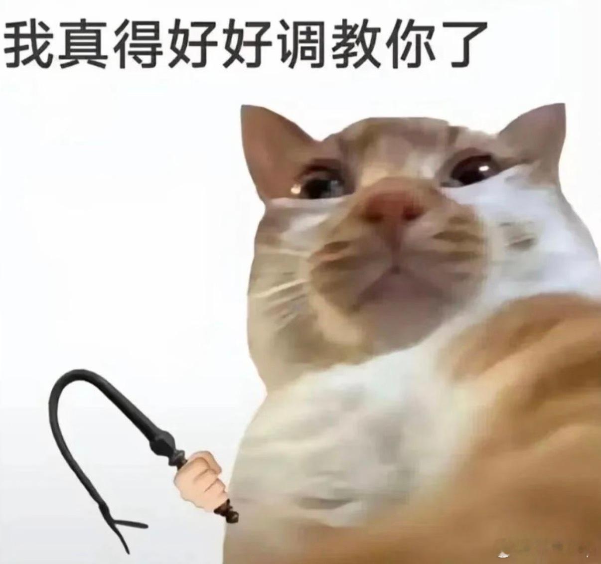 豆包伤心摇根本伤心不起来 有时候心情不好真可以看看网友都拿AI干了些什么，什么唱