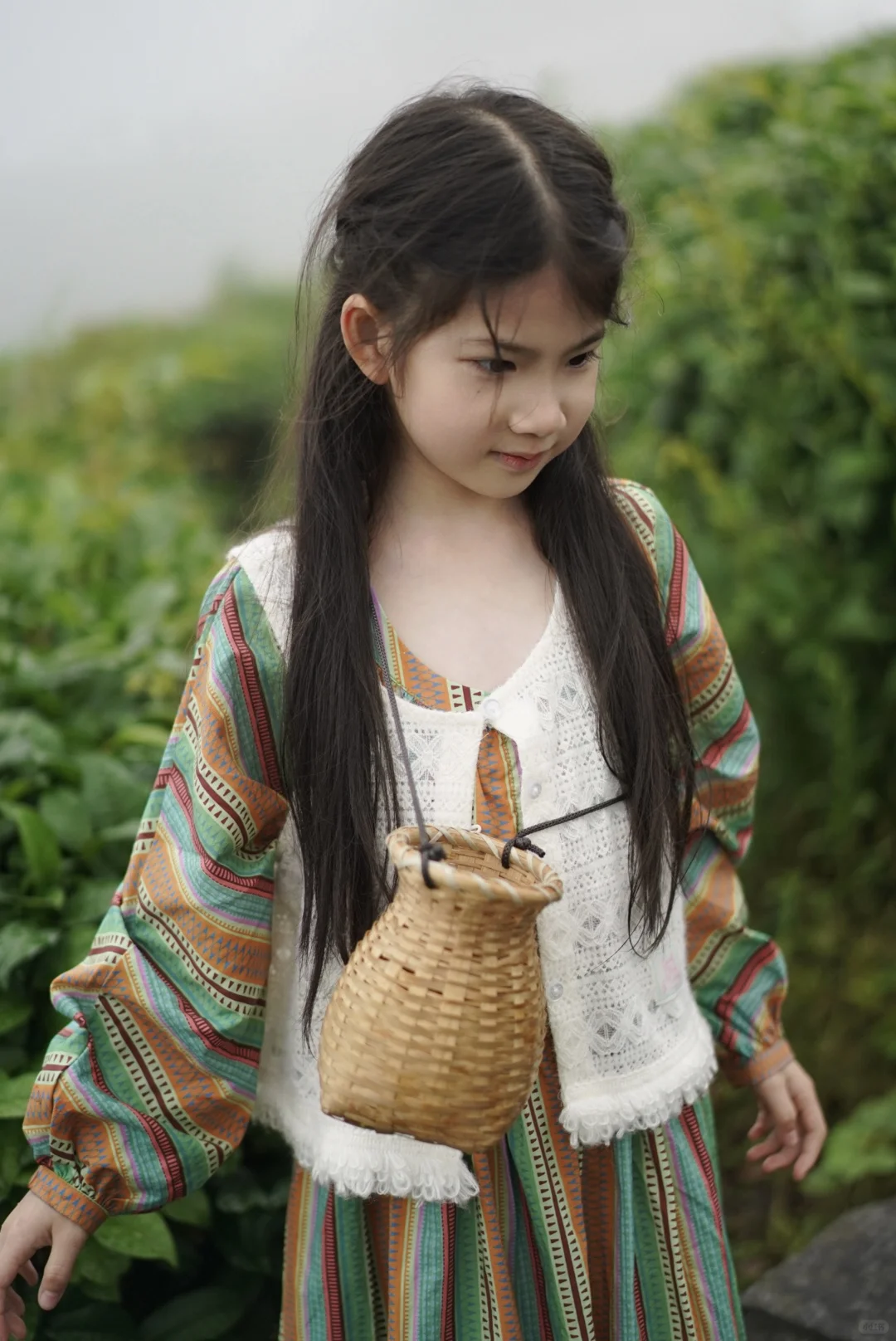 旅行日记｜七仙峰茶园里的小仙女🧚‍♀️