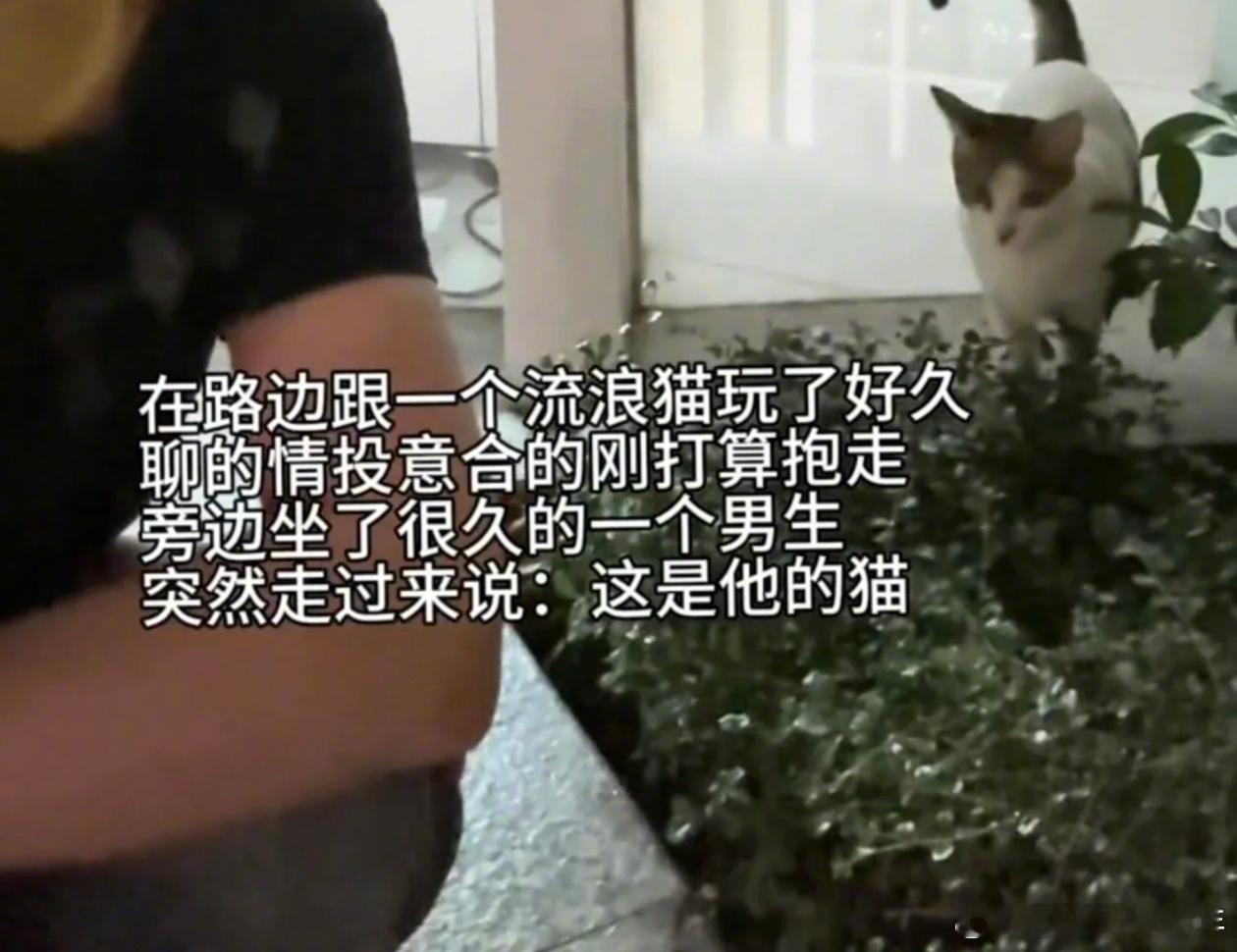 男生：补药拿走我的🐱 