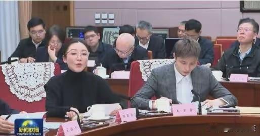 石宇奇作为科教文卫体育代表，身着正装，参加了国务院相关会议。