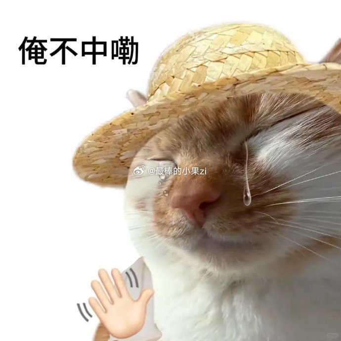 开始最后的作业攻坚战肯定是保不了质，量也够呛 ​​​不怕5篇口算3篇日记这种具体