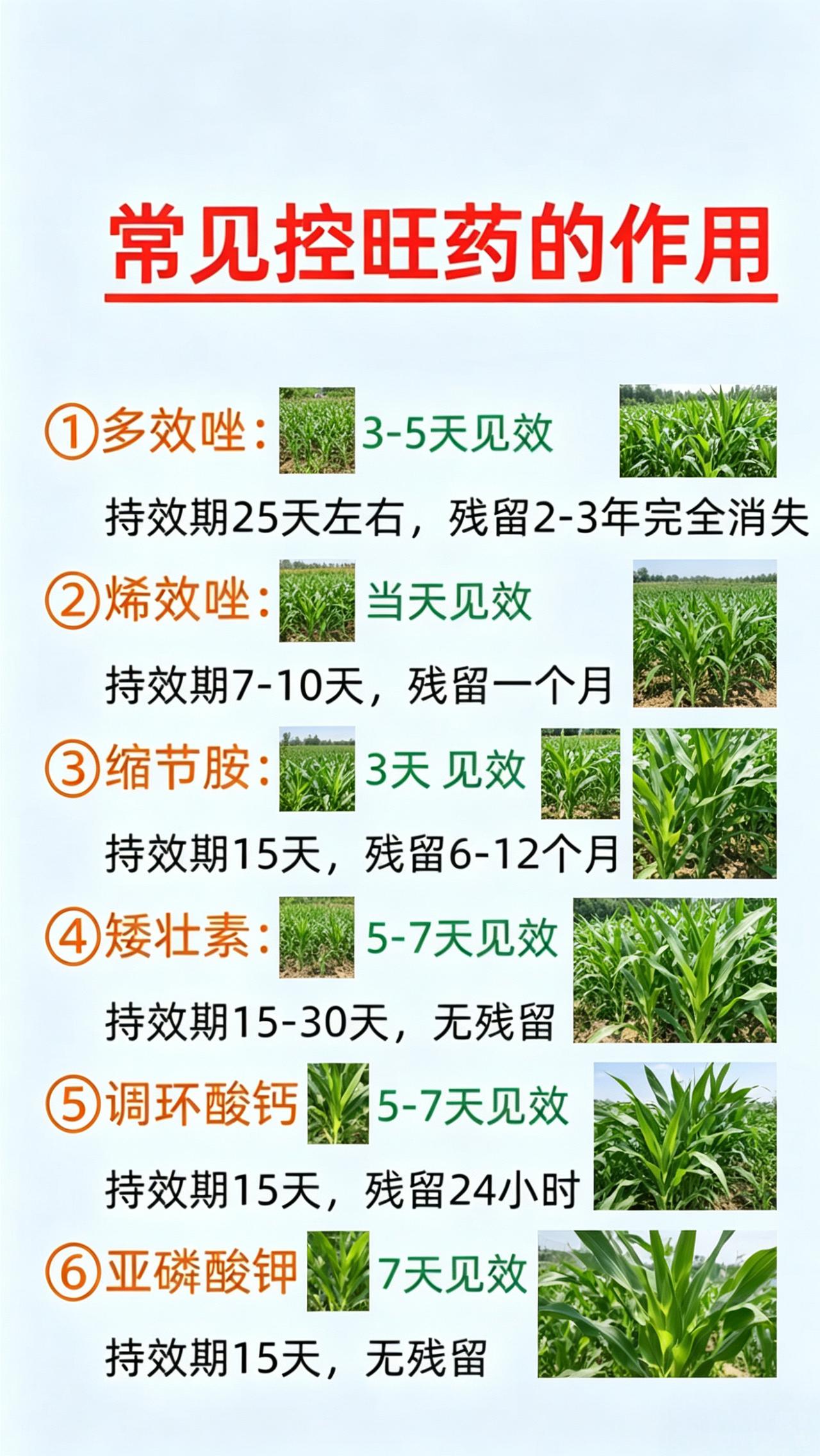 三农种植 控旺 增产增收 农资经销