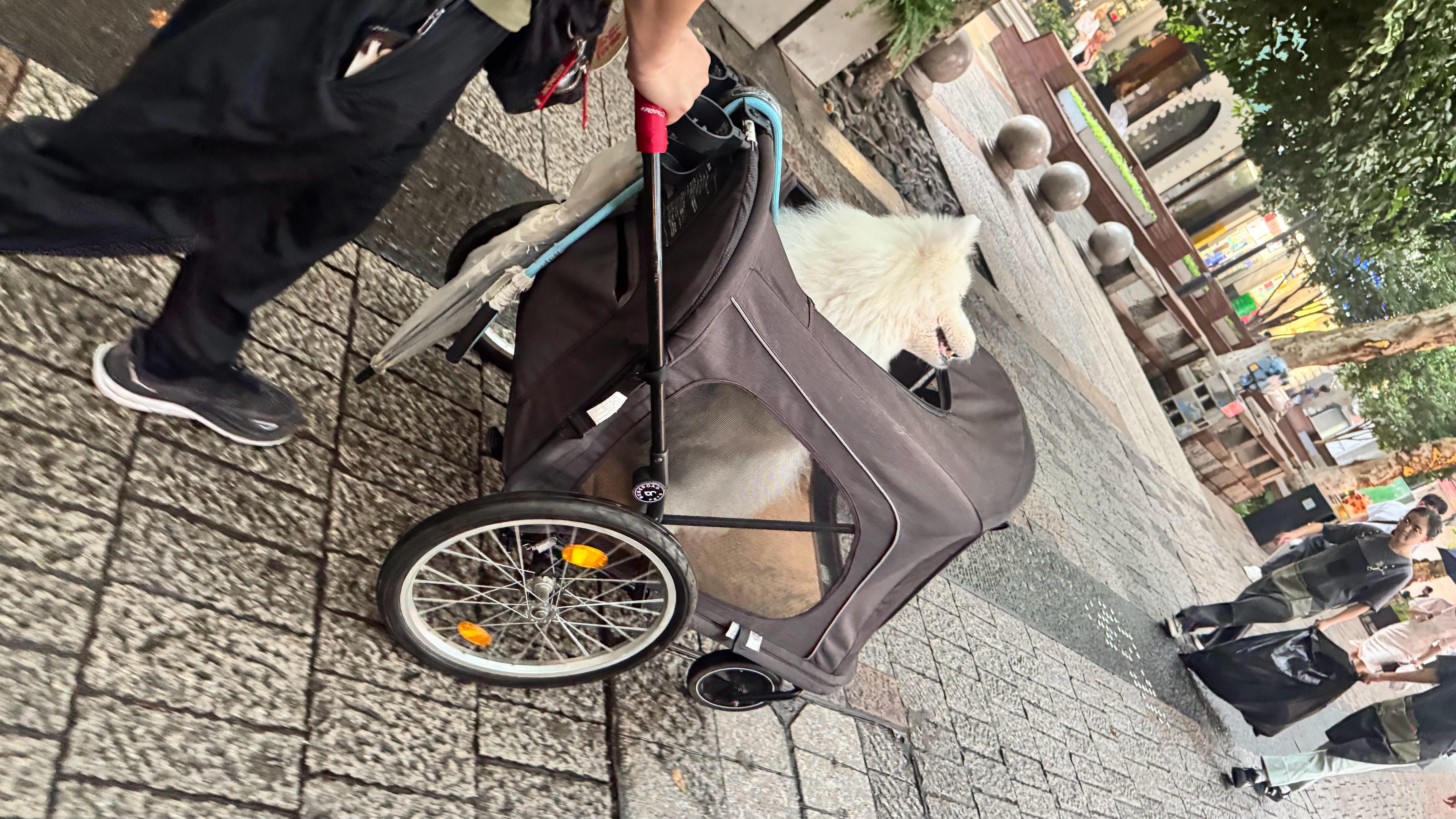 待遇真好