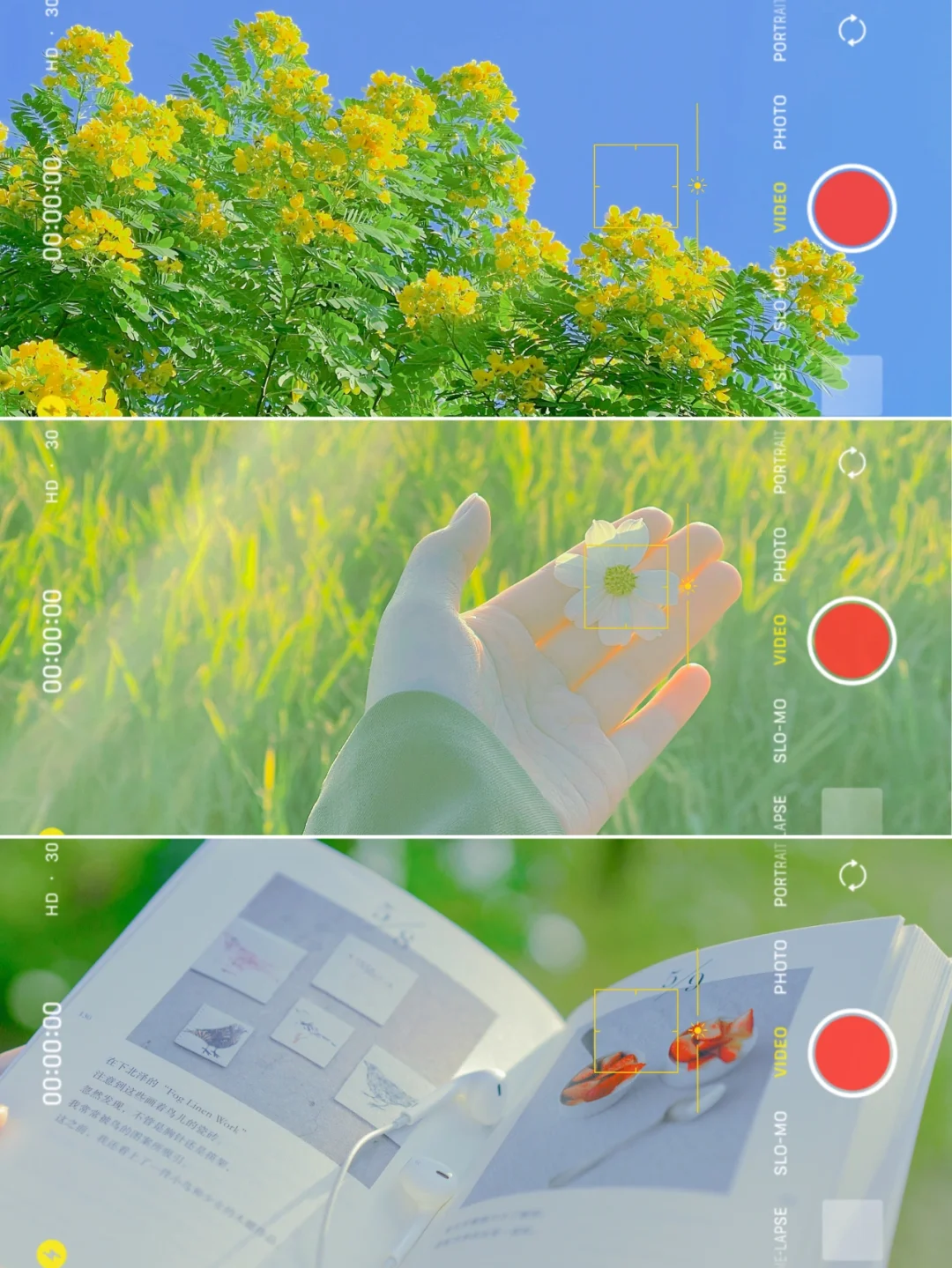 手机调色✨春日取景器氛围感滤镜🌷拯救废片❗