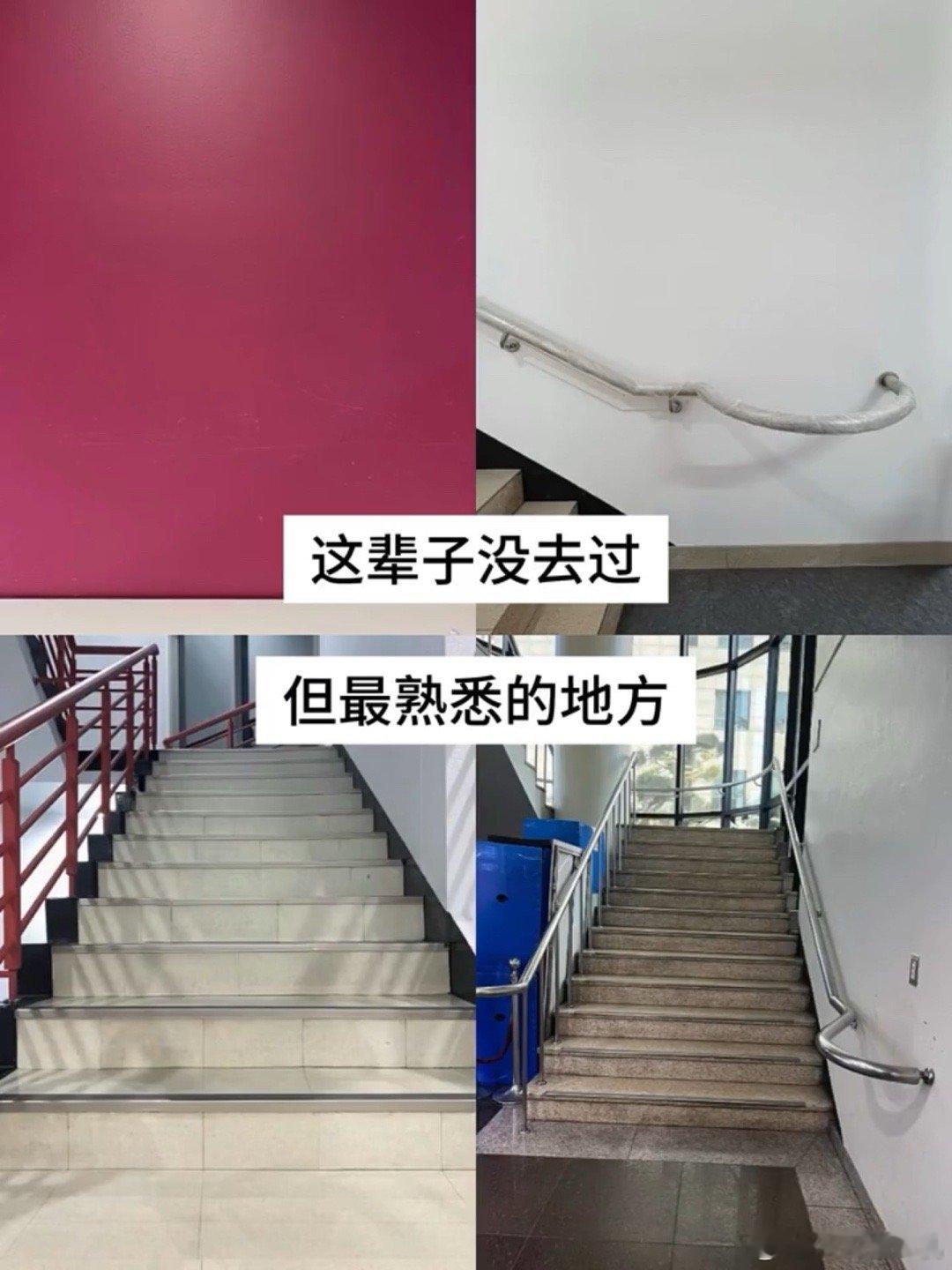 太熟悉了 ​​​