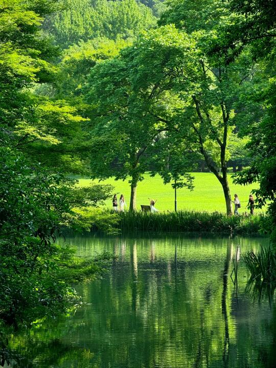 终于理解上说的那种“绿色能量场”了‼️