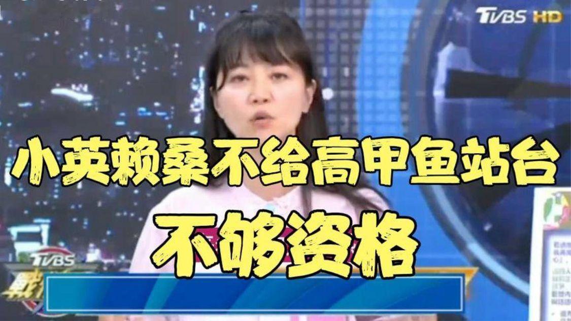 小英赖桑不给高嘉瑜站台，洋流个鬼！高甲鱼：我只是小咔咔！