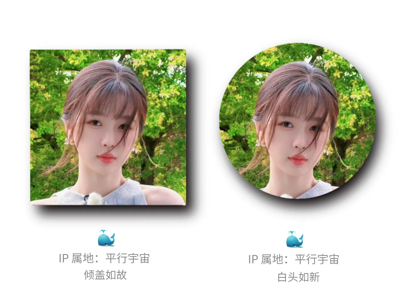 无偿代做！