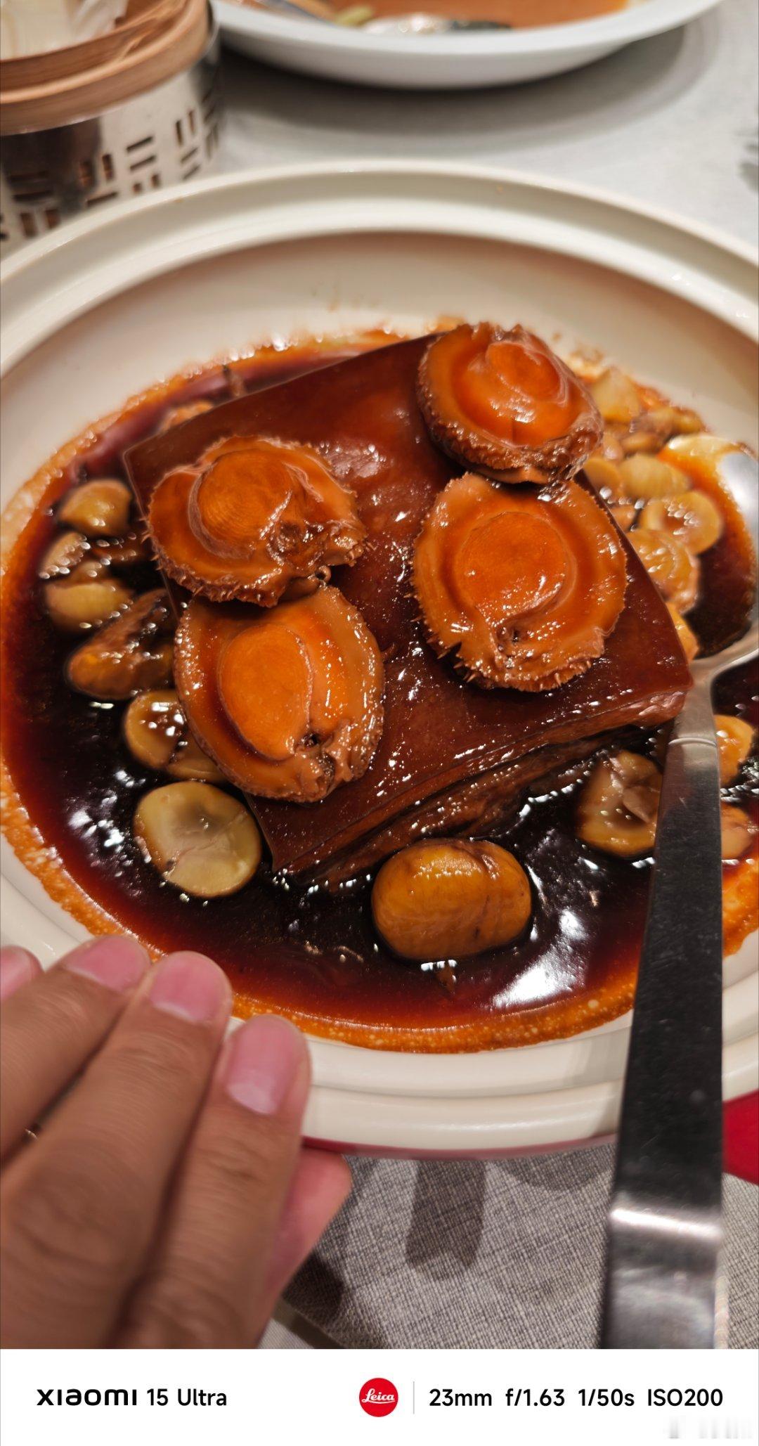 比脸大的红烧肉……减肥无望 