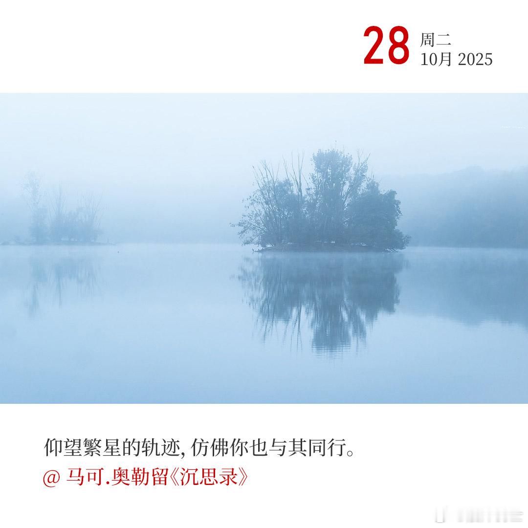 每天早起打卡星光不问赶路人，却在轨迹里刻下：你与天地，从未独行。早！ ​​​