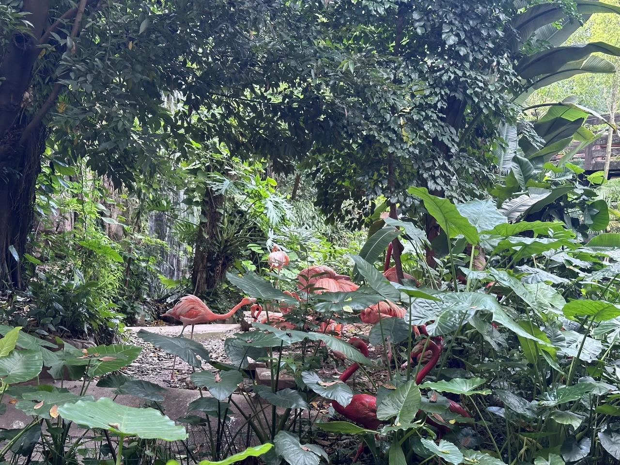 家里条件一般，弟弟准备买房，爸妈准备100w彩礼(买房➕彩礼)。我跟老公回家借1