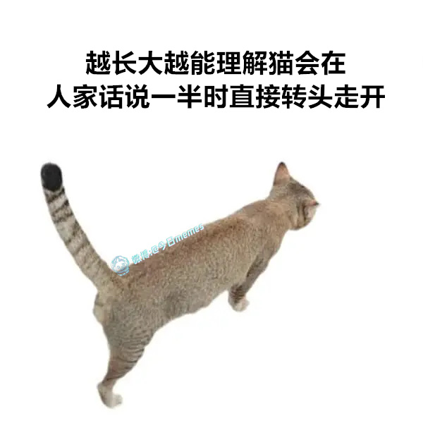 先这样（9gag）今日meme[超话] 今日memes ​​​