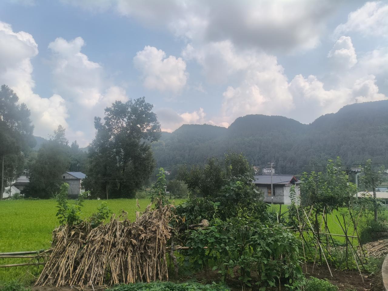 新时代的四川大山，藏着无数人的乡愁。小时候，在山间追着野兔，听着布谷鸟的叫声，那