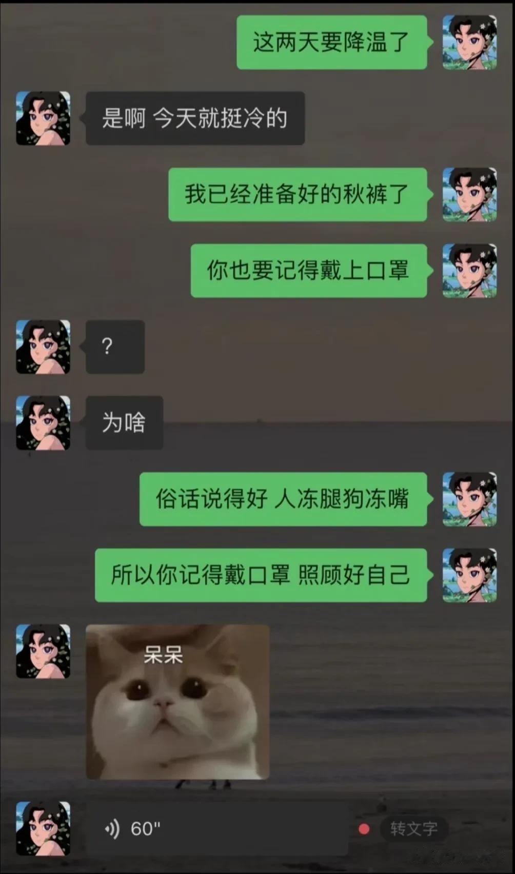 [what]