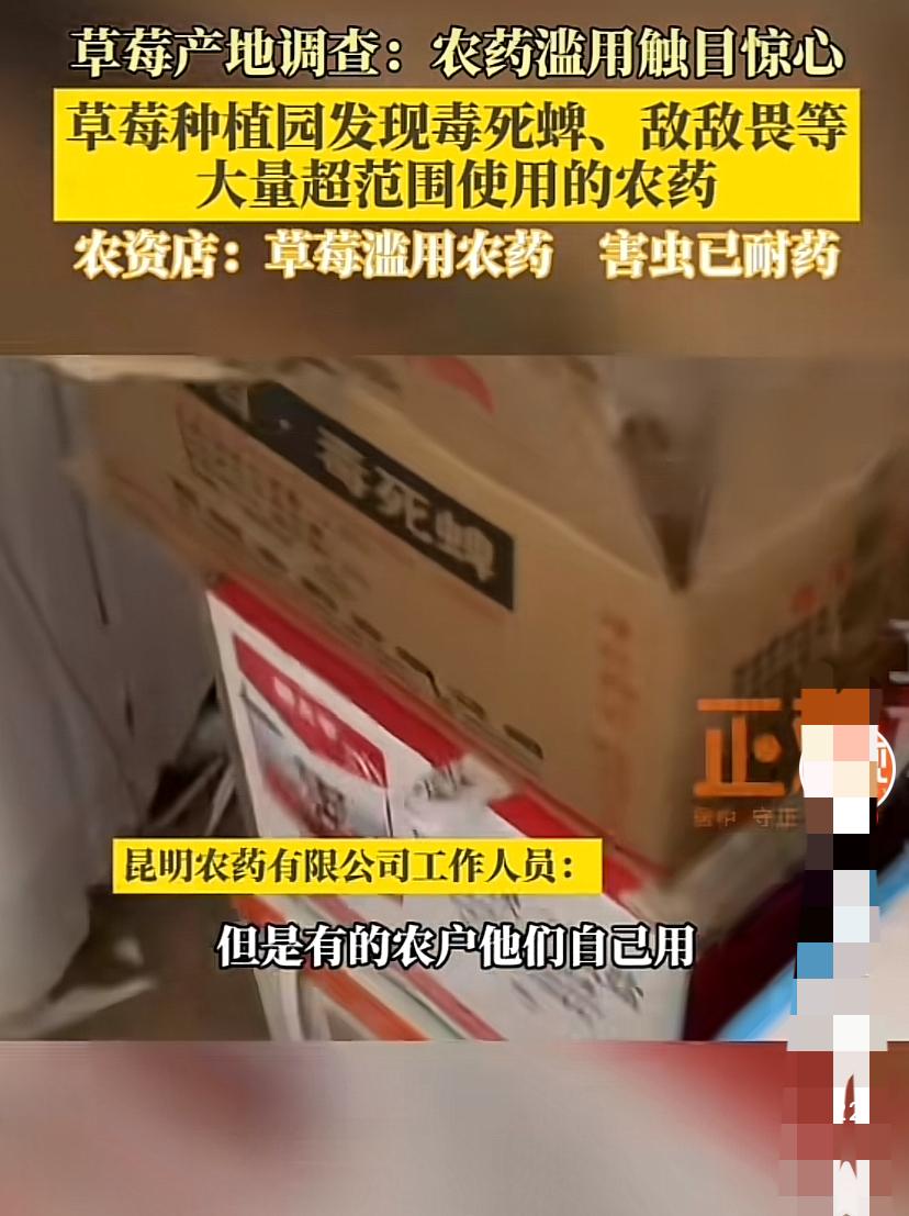 草莓🍓种植户自掘坟墓，把整个行业害惨了
   春暖花开大量草莓上市，很多人喜欢