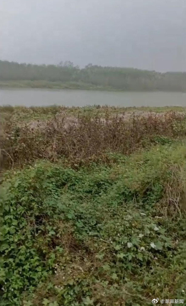 #湖南一男子夜钓遭枪击嫌疑人已归案# 【#湖南一男子夜钓时遭枪击头部# ：嫌疑人