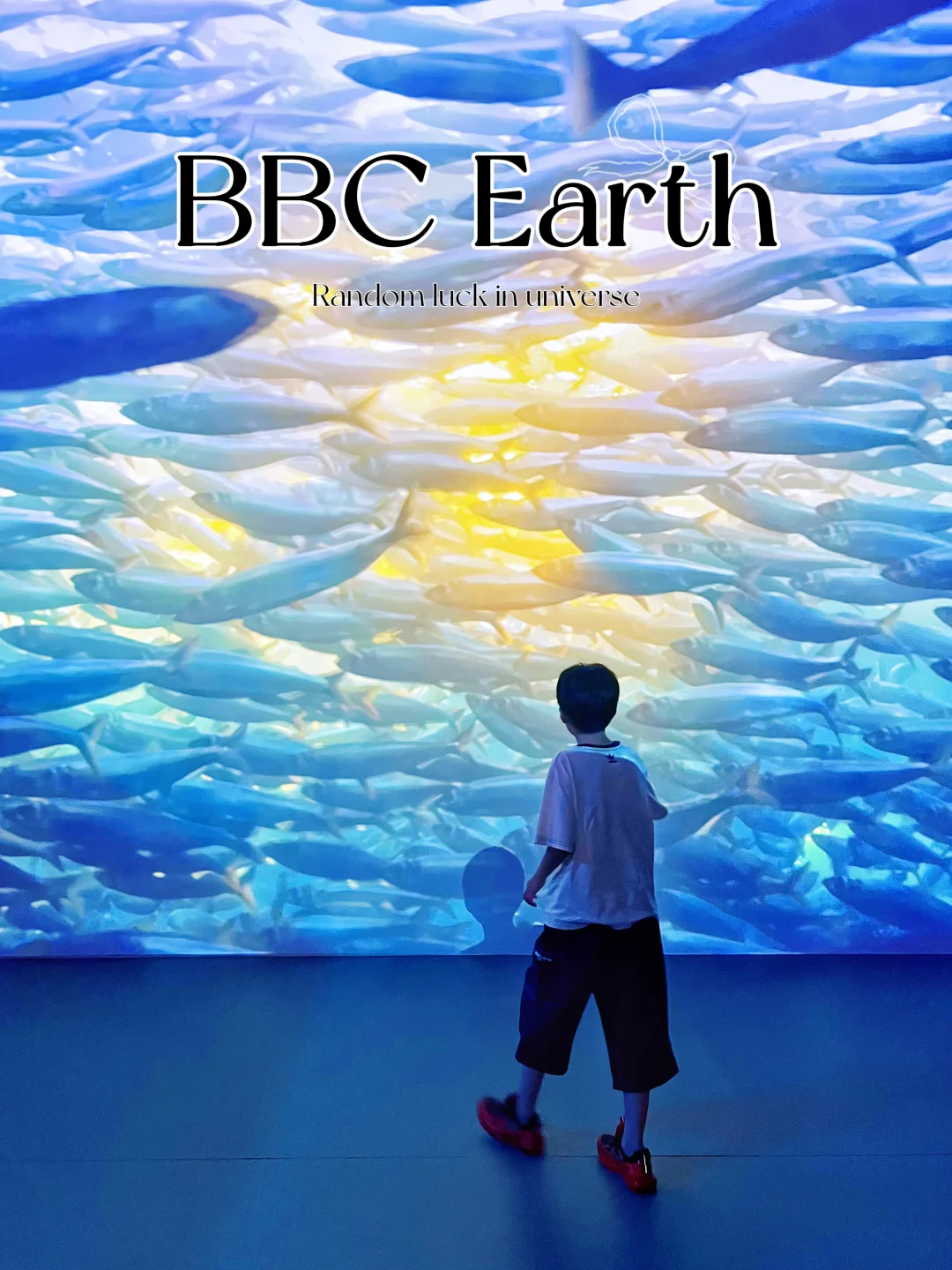 BBC EARTH极地生灵展‼️被治愈的一天