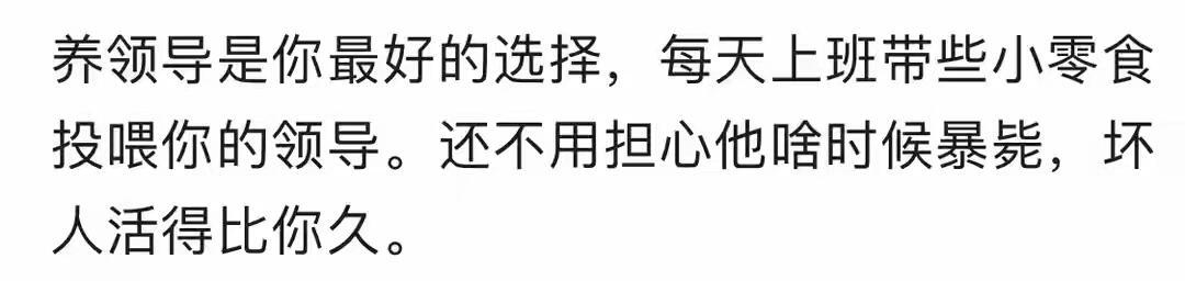 上班族适合养什么？ ​​​
