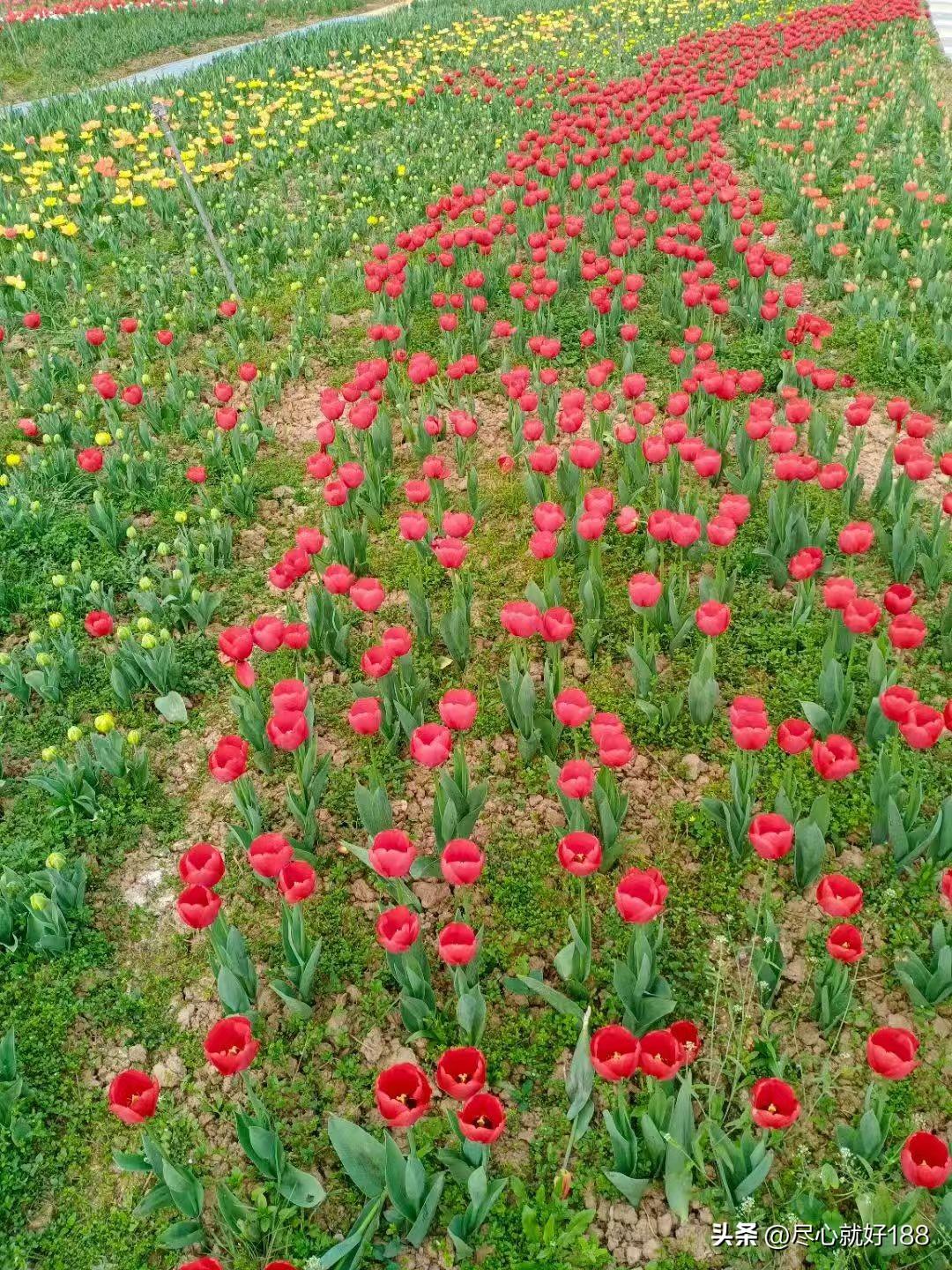 妈妈前天几乎睡了一天，从早上睡到下午五点，所以晚上就不睡了，昨天白天一整天也是睡