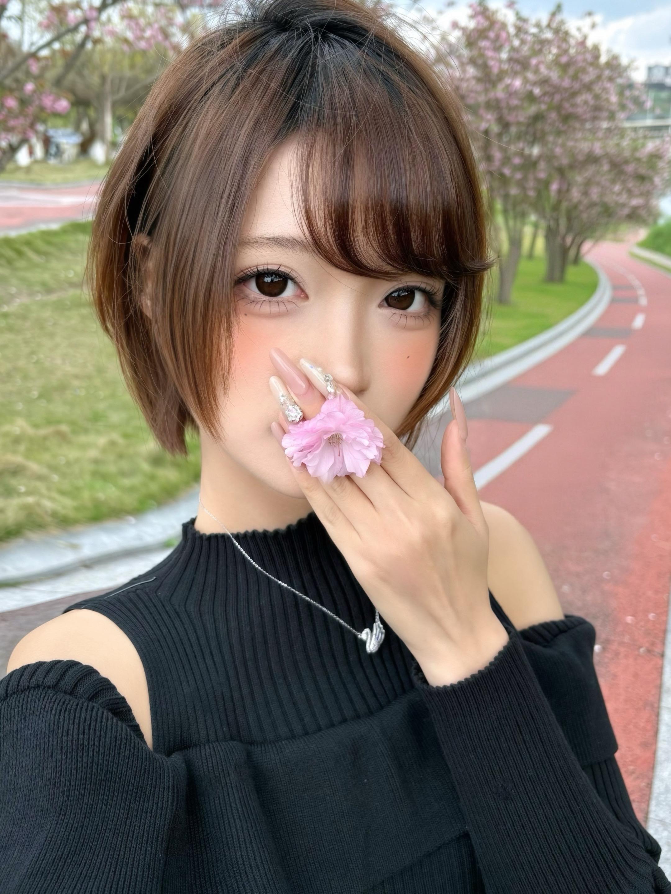 樱花樱花好想你