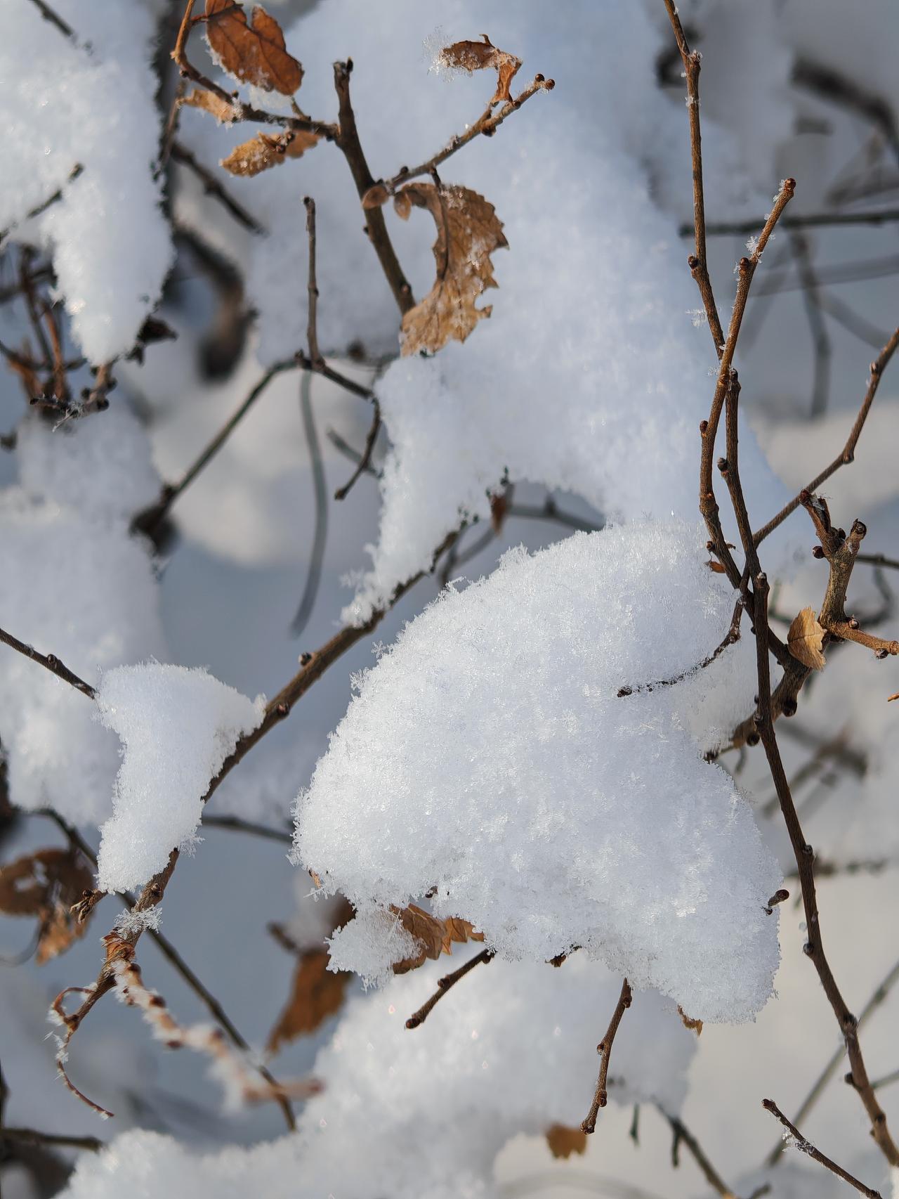 与痛风斗争的历程111
 
   早上一睁眼，天朗气清的，浑身关节都还算舒坦，没