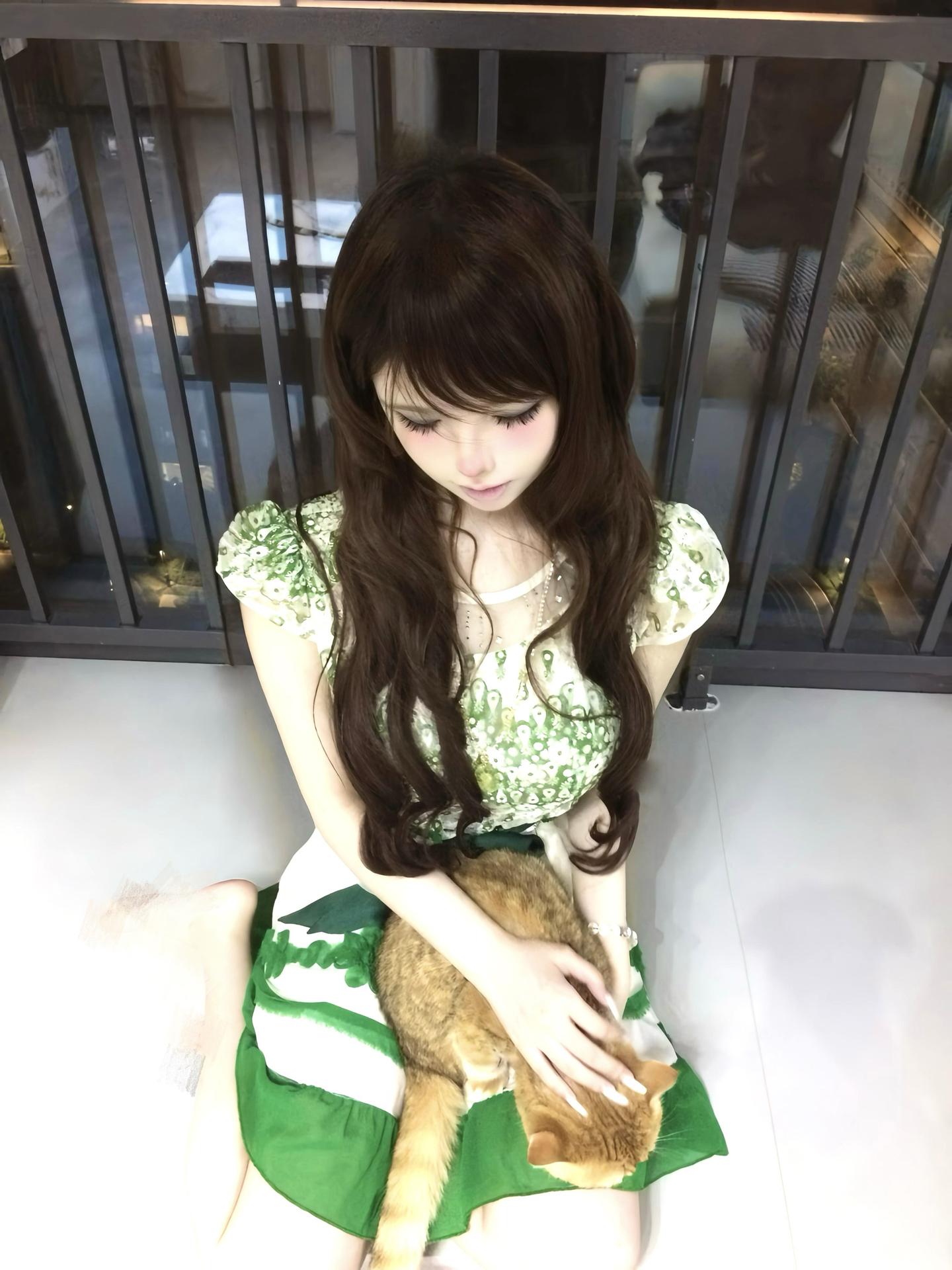 小猫 可以带你回家吗